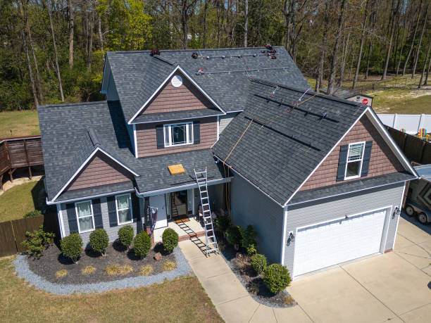 Roof Moss and Algae Removal in Alexandria Bay, NY